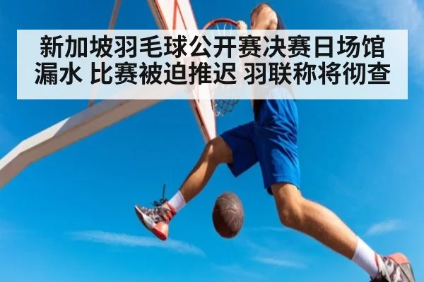 新加坡羽毛球公开赛决赛日场馆漏水 比赛被迫推迟 羽联称将彻查