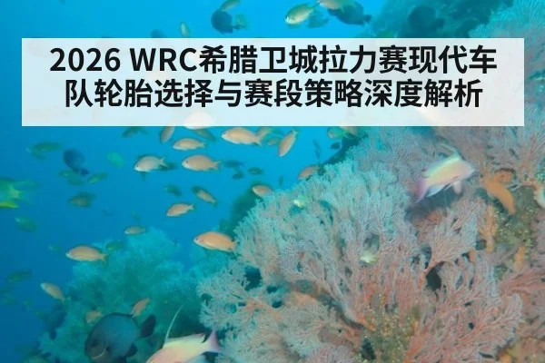 2026 WRC希腊卫城拉力赛现代车队轮胎选择与赛段策略深度解析